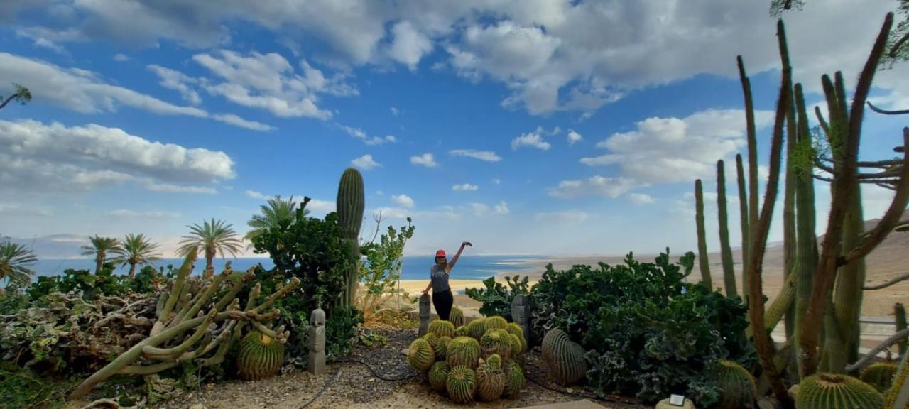 Aloni - Guest House Dead Sea Newe Zohar Zewnętrze zdjęcie