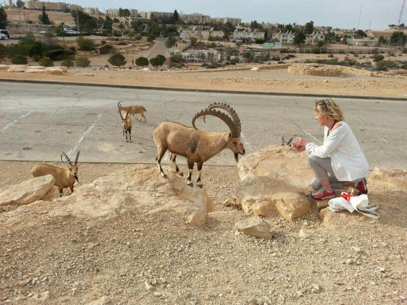 Aloni - Guest House Dead Sea Newe Zohar Zewnętrze zdjęcie